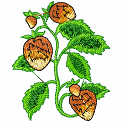 Strawberry Embroidery Design 4 Strawberry Embroidery Design 4
